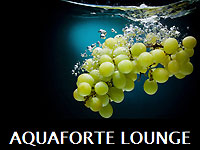 AQUAFORTE Lounge