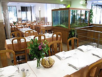Cervejaria Tico Tico