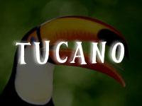 Tucano